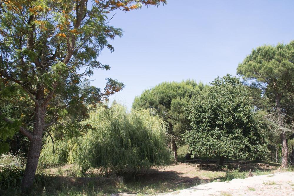 Bed and Breakfast Quinta Da Galeana Dreaming Lourinhã Zewnętrze zdjęcie