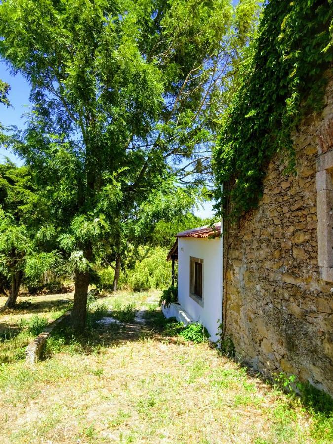 Bed and Breakfast Quinta Da Galeana Dreaming Lourinhã Zewnętrze zdjęcie